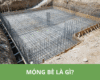 Móng bè là gì 2