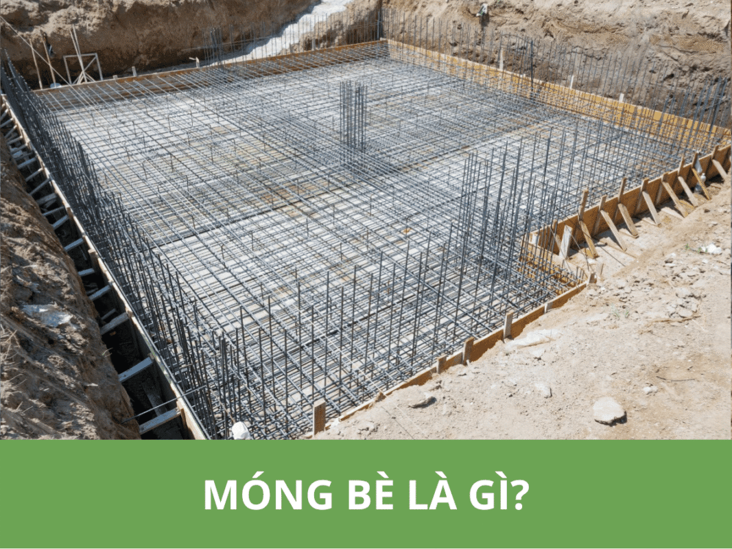 Móng bè là gì 2